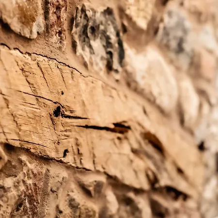 1692 Wasdale מלון